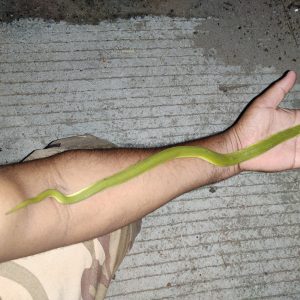 IMG-20250707-WA0147